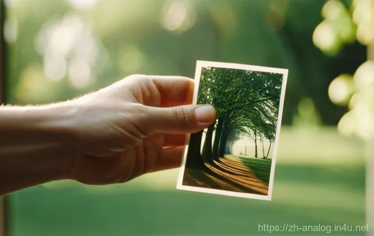 아날로그 카메라 필름 현상 - **Prompt 1: The Darkroom Alchemist**
    A focused young adult, wearing a clean, dark apron and prot...
